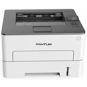 Замена прокладки на принтере Pantum P3300DN в Новосибирске